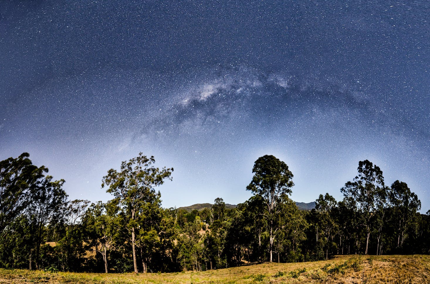 Best hikes in Brisbane