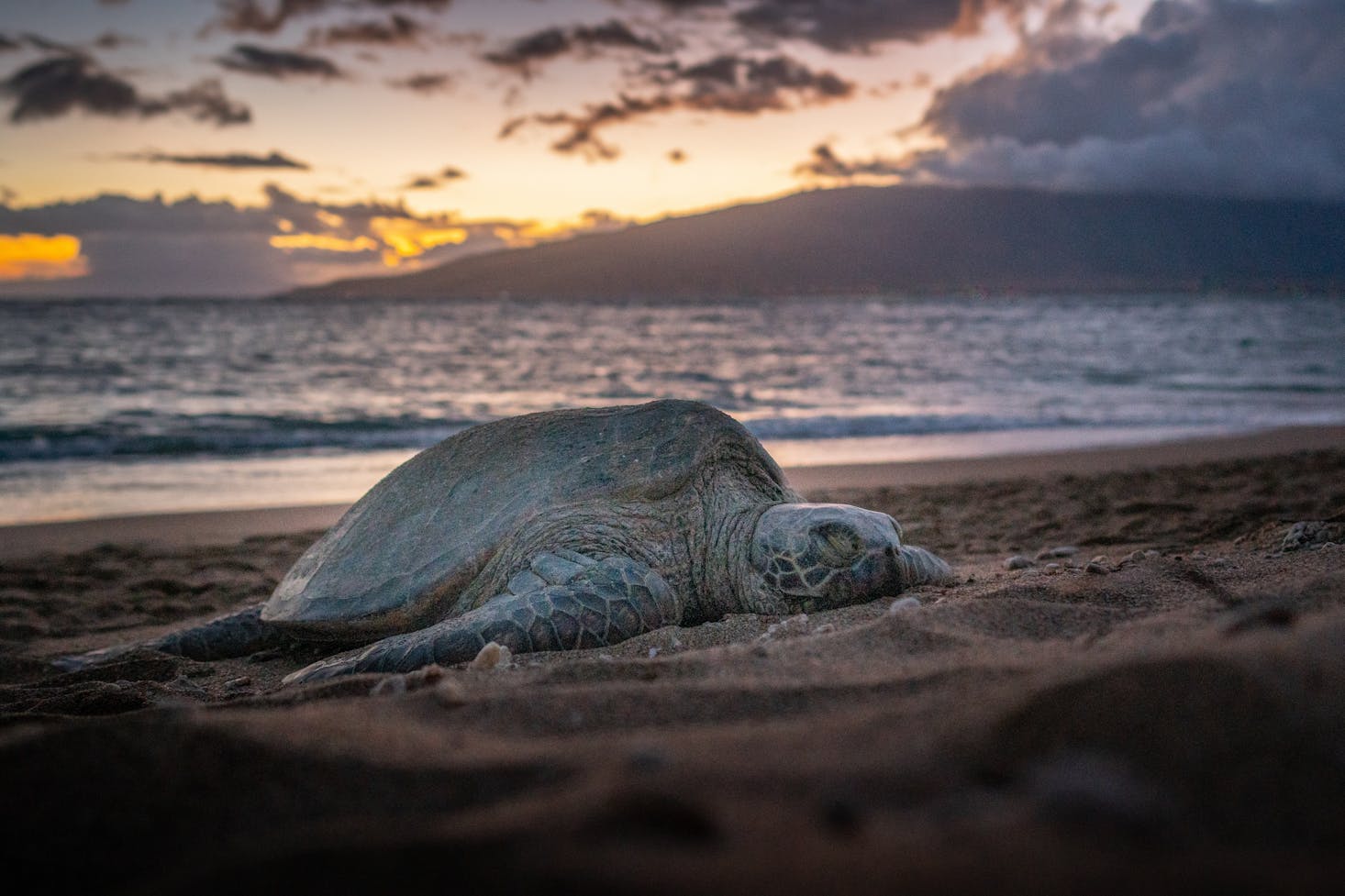 Kihei, Hawaii