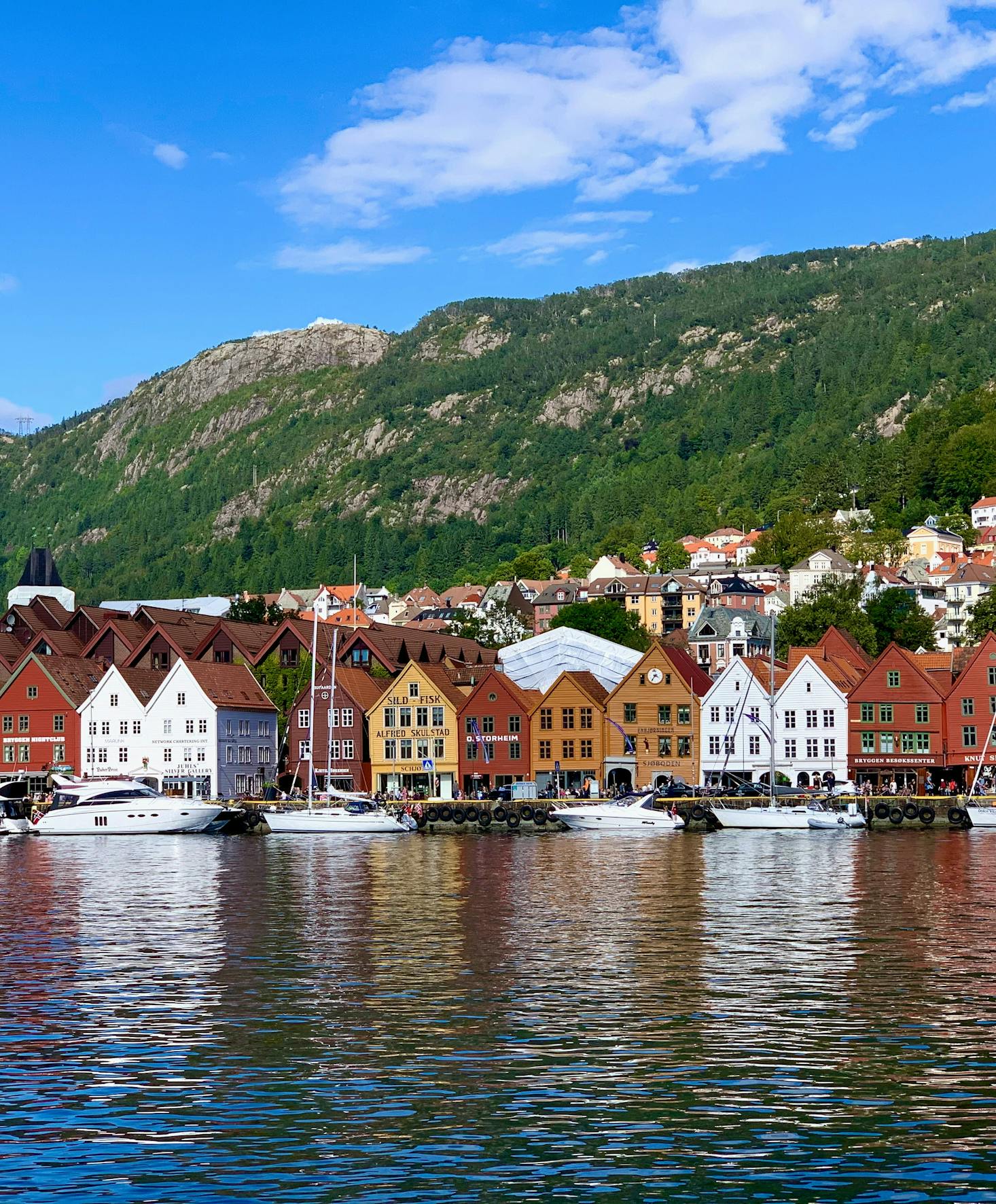 Colorful houses line the shore in Bergen, Norway with mountains as a backdrop