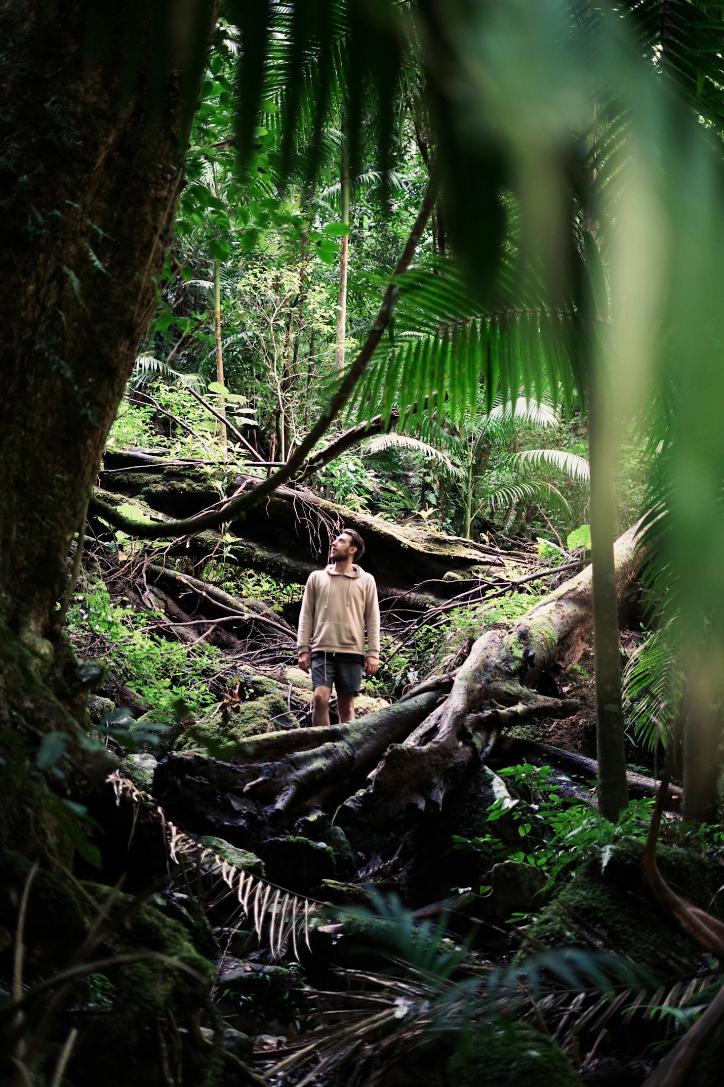 Hikes in Gold Coast