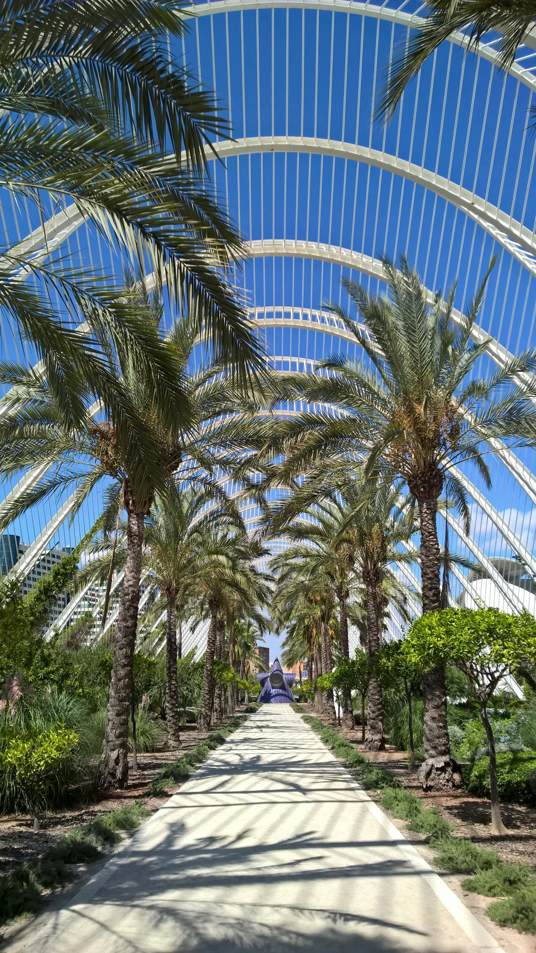When to visit Valencia