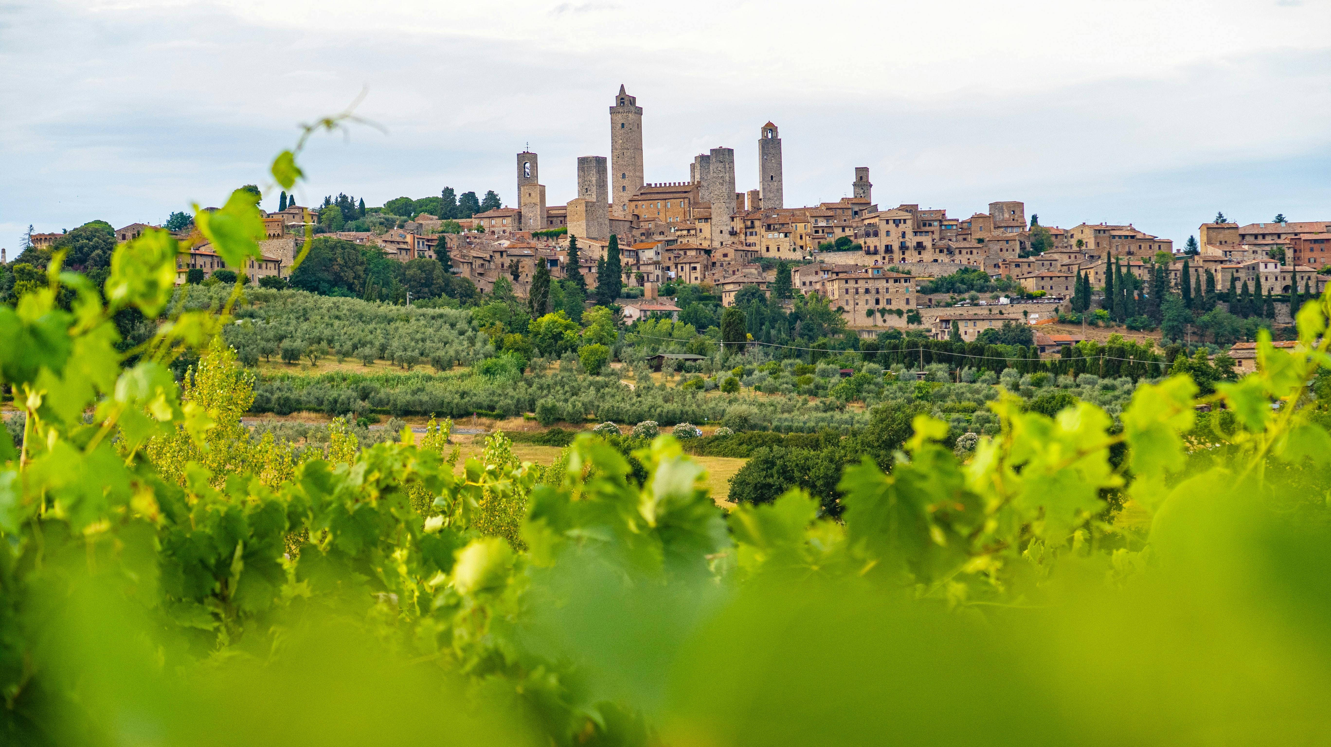 Wine tasting in Tuscany