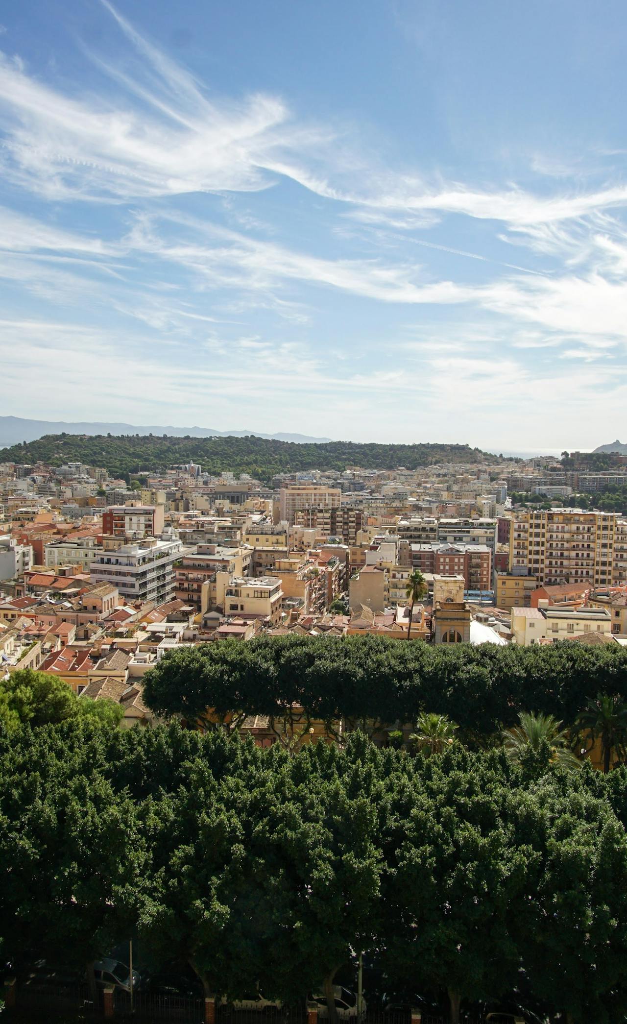 Aerial view of the tree-lined Cagliari Old Town