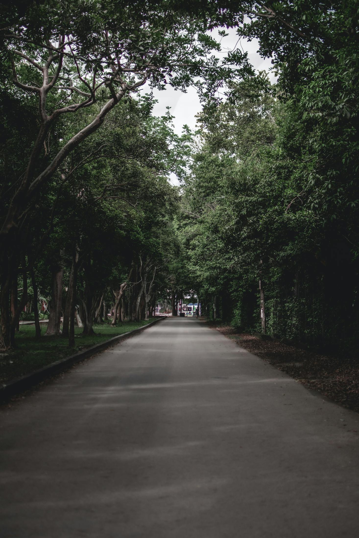 Trail in Miami, Florida