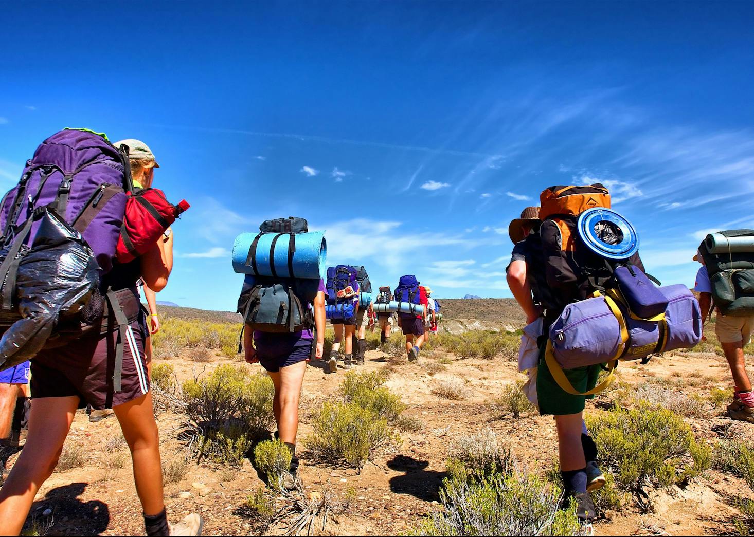 PhotoSky // Shutterstock PhotoSky // Shutterstock