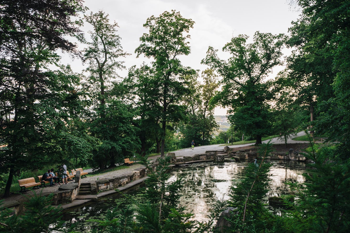 Pond in Prague