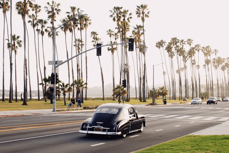 roadster on street lined with palm trees
