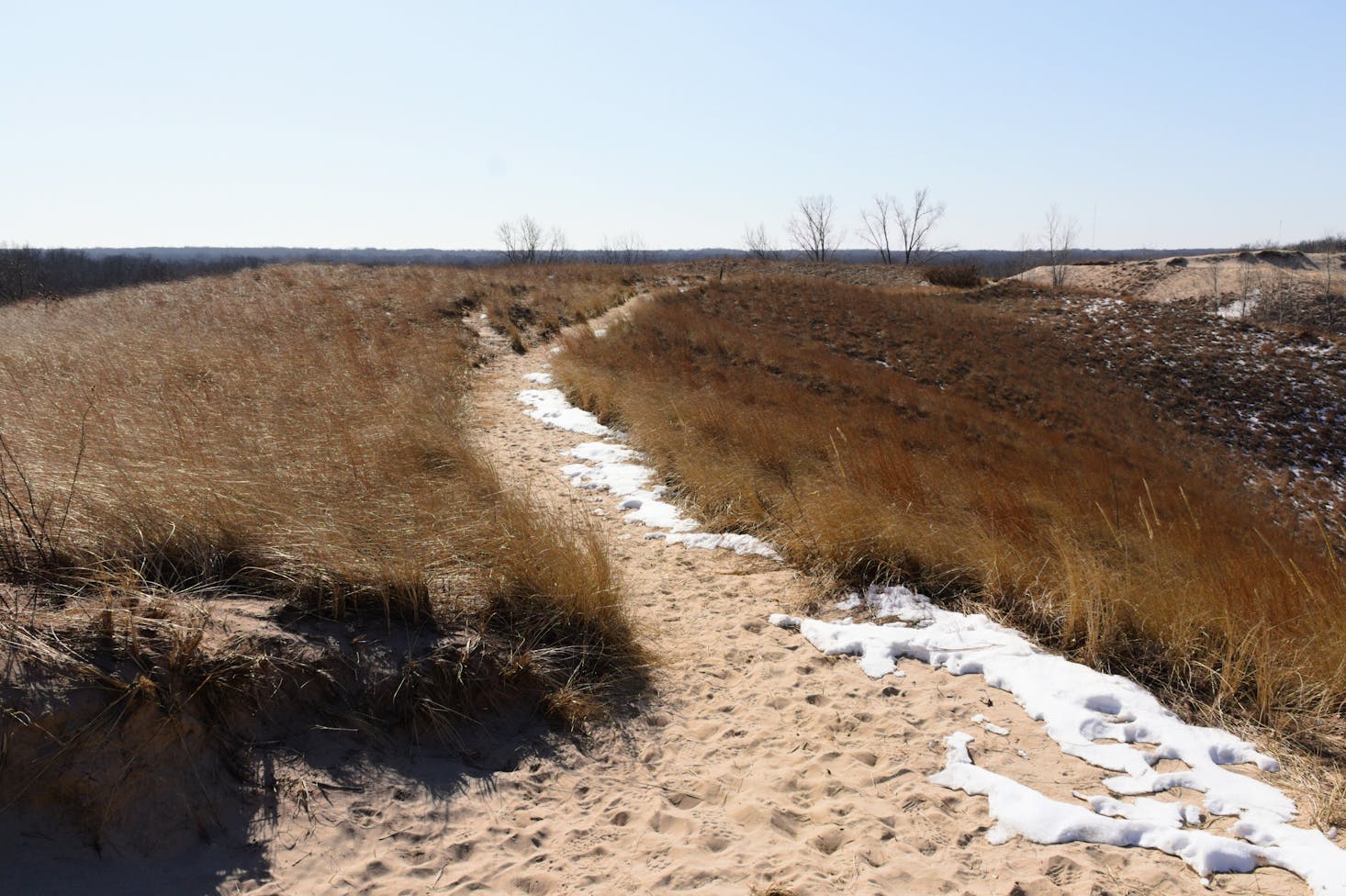 Indiana Dunes State Park hiking