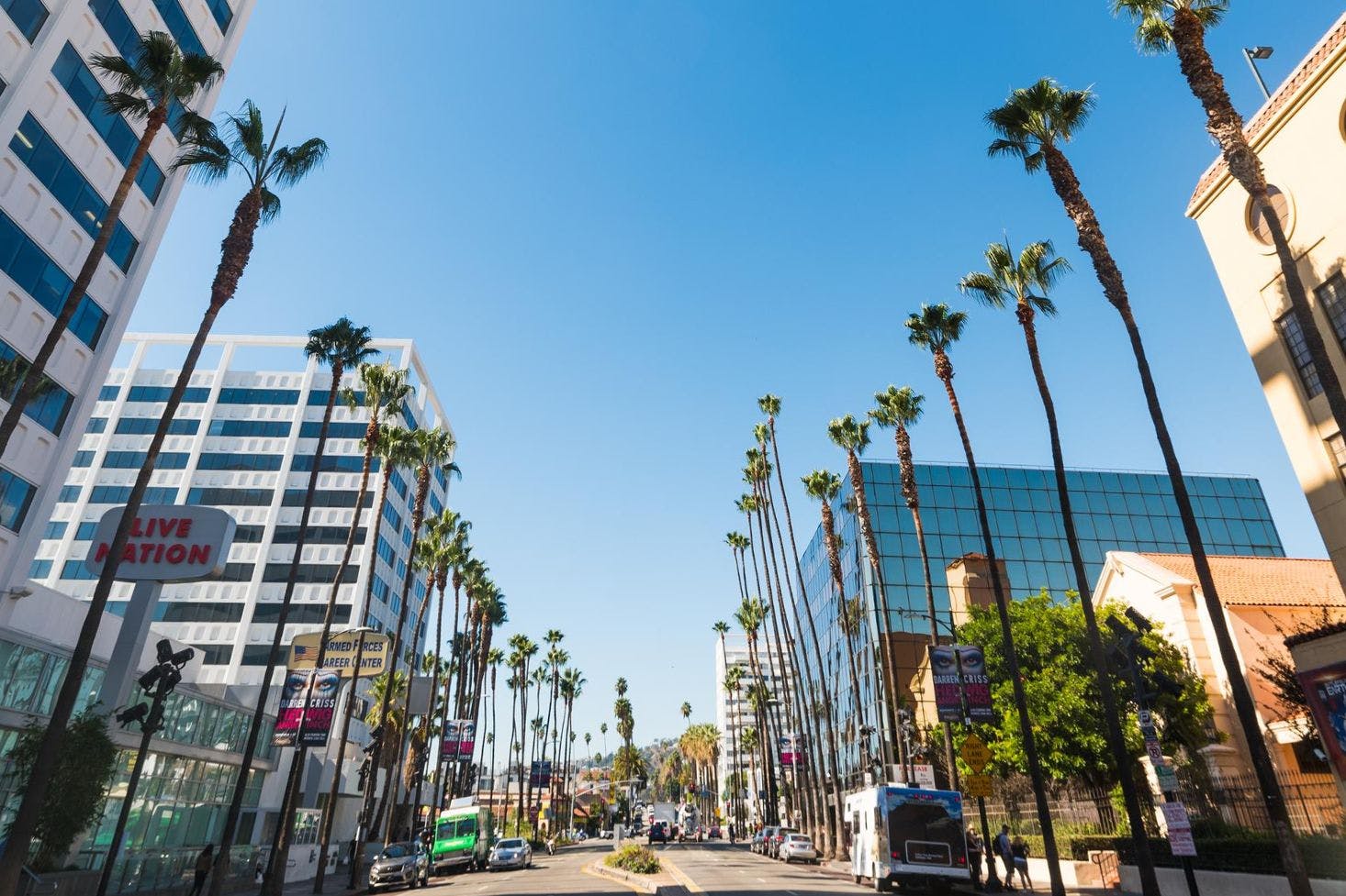 Sunny San Diego boulevard lined with palm trees, cars, and modern buildings under clear blue skies