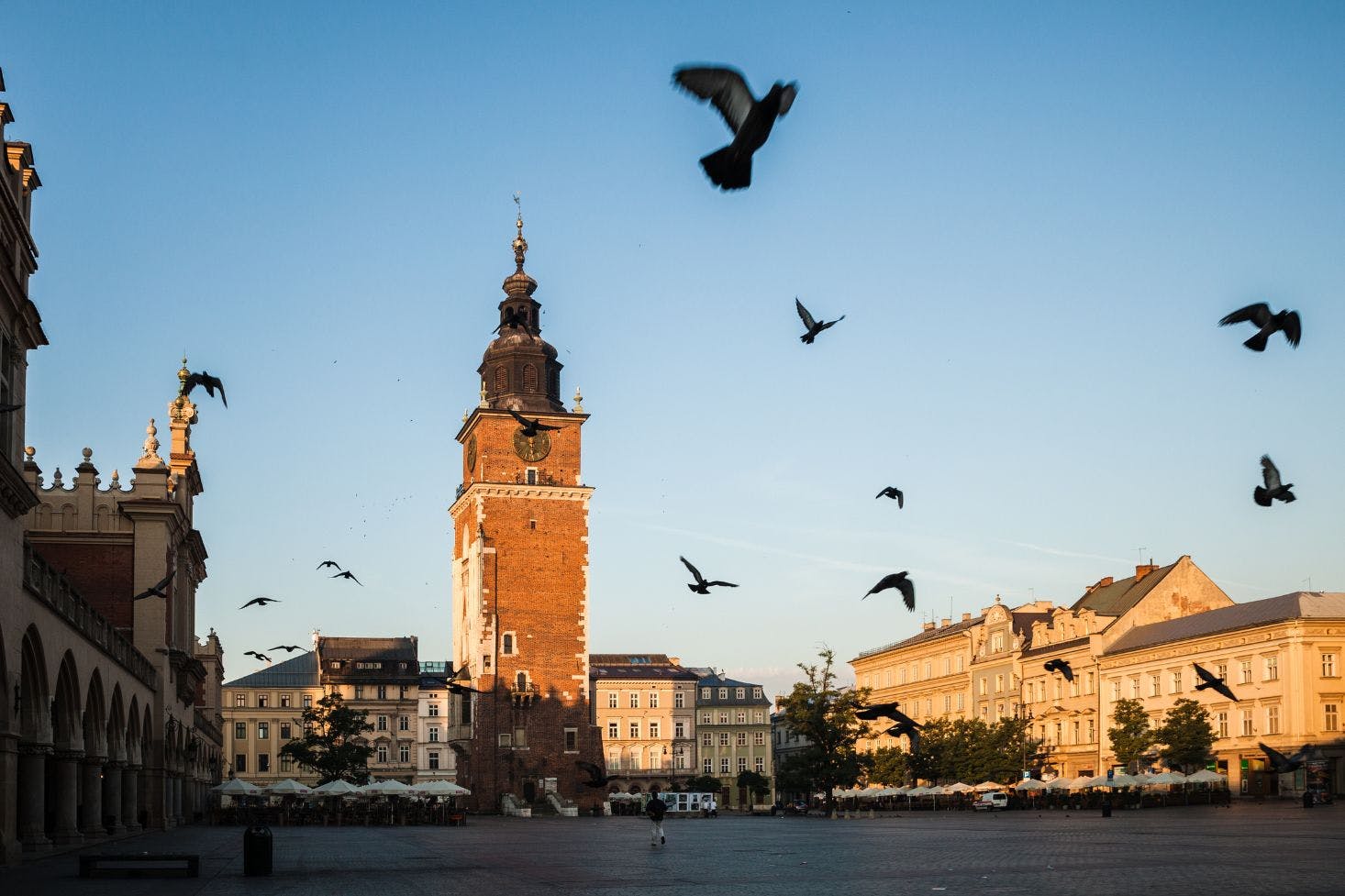 Orange-hued sunny Town Hall Tower in Krakow's cobblestone Main Square, with birds flying around