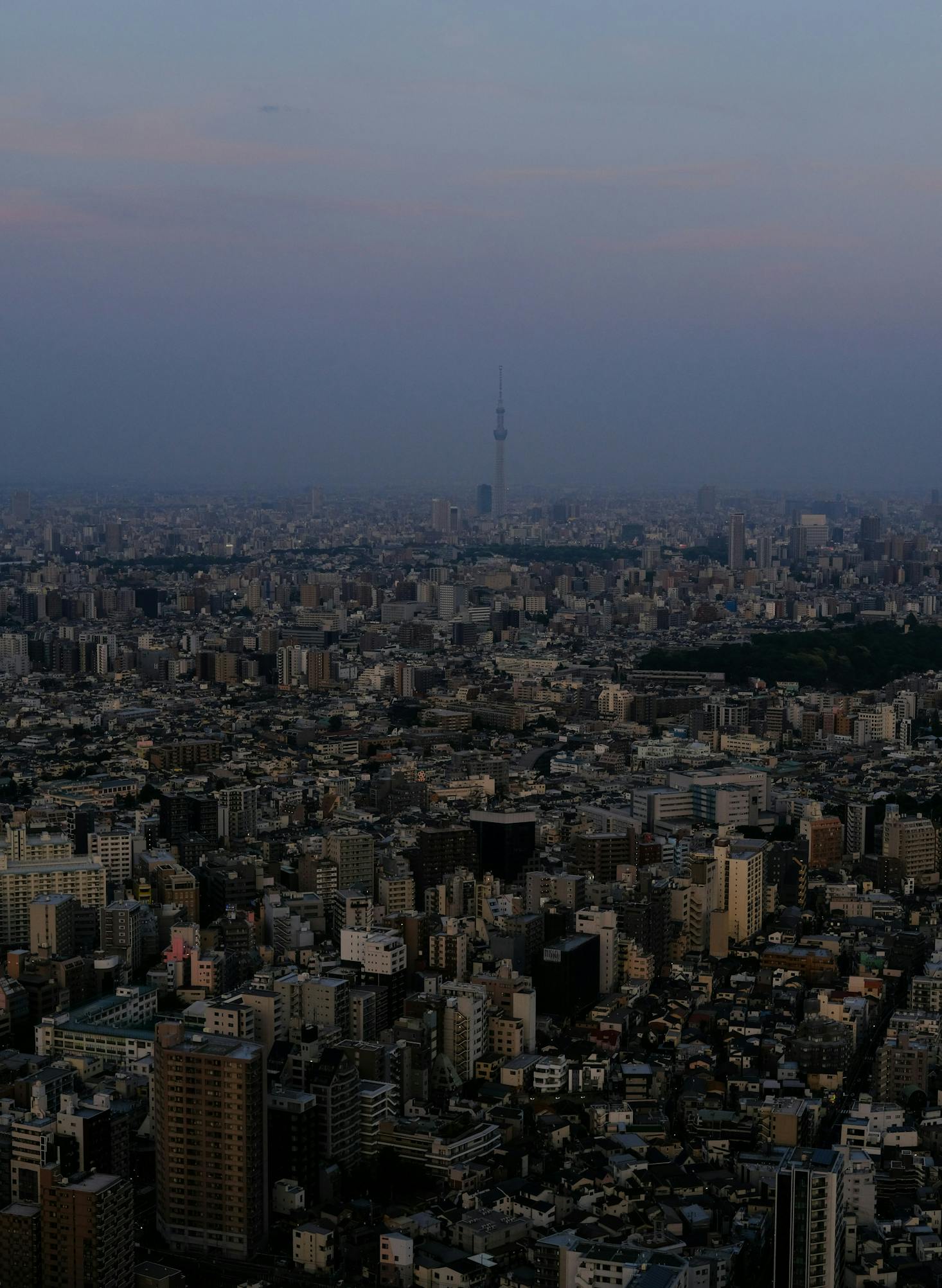 The view from the Sunshine City Observation Tower of Tokyo at dusk