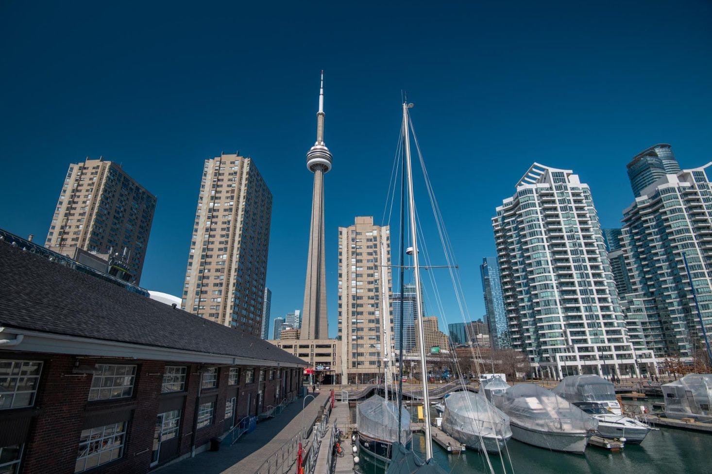 View of the Toronto harbor on a clear day, with boats and the city skyline in the background