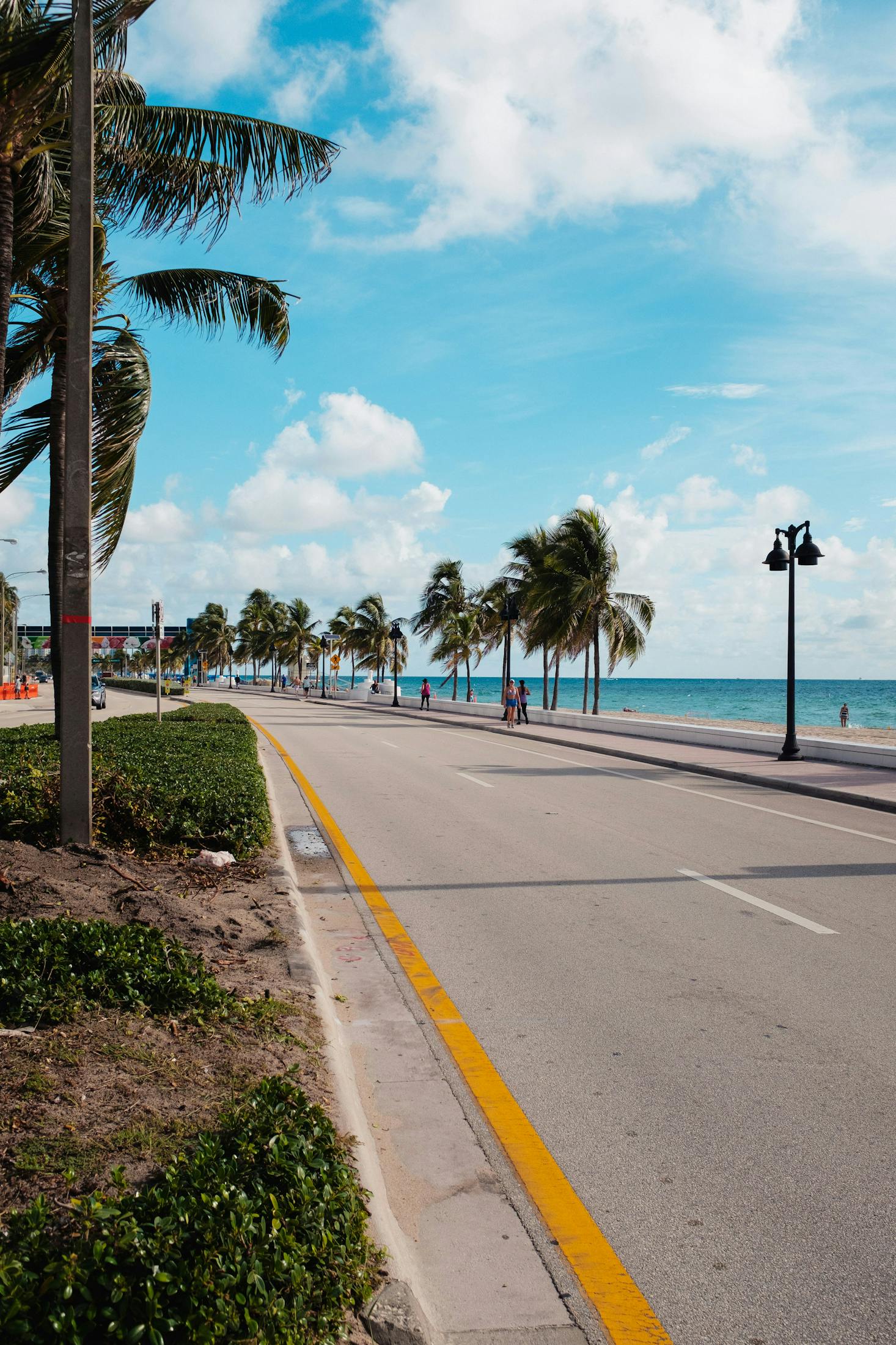 Palm trees lining the road on a sunny day in Fort Lauderdale