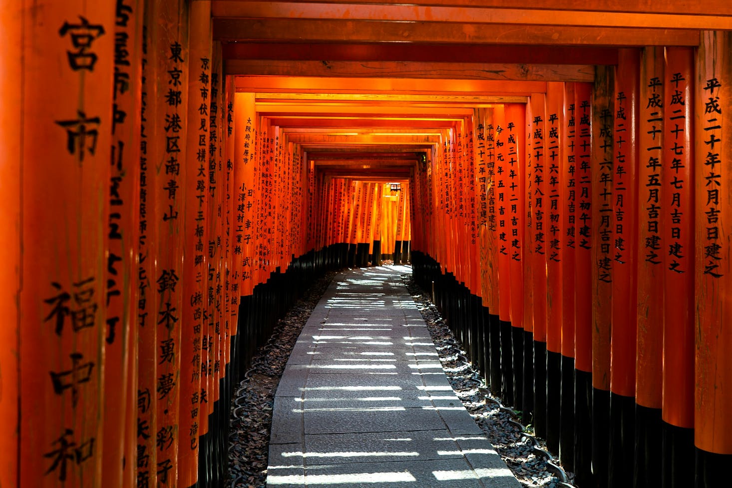 Torii rossi del santuario Fushimi Inari Taisha, a Kyoto