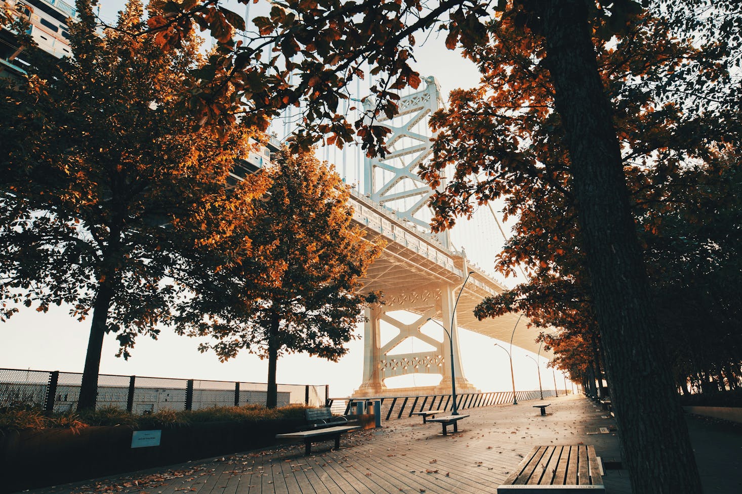 A bridge among the trees on a foggy day in Philadelphia