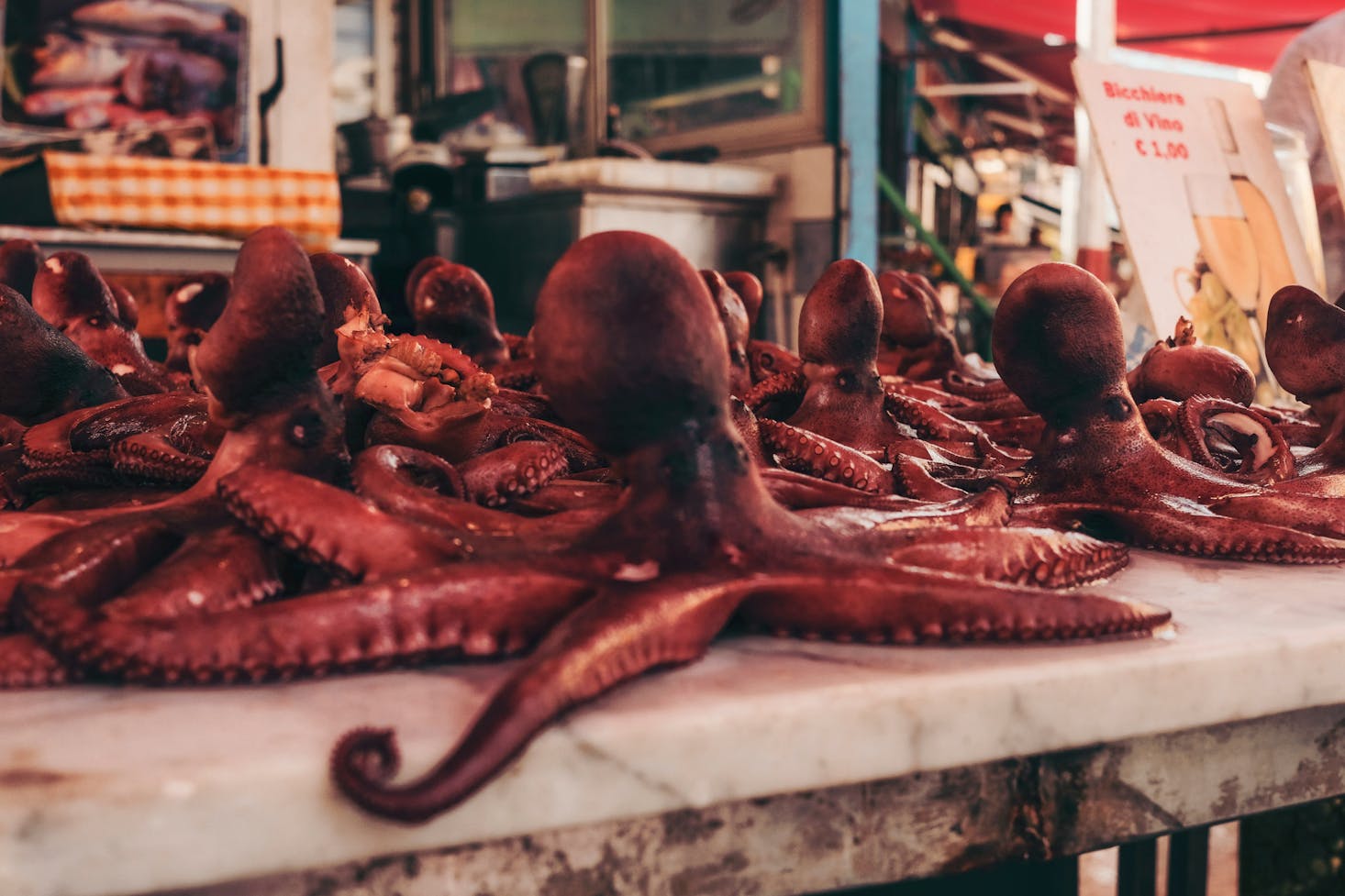 Octopus for sale at Palermo's Ballaro Market