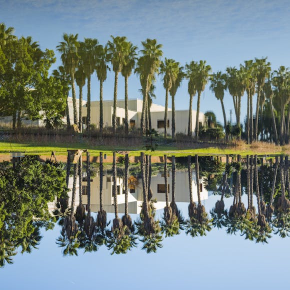 Palm trees line next to water, with a villa in the background showcasing modernist design