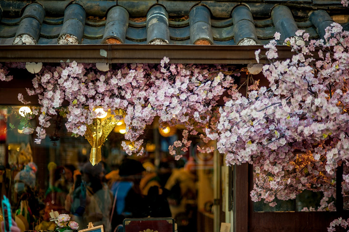 Cherry blossoms in Jongno-gu in Seoul