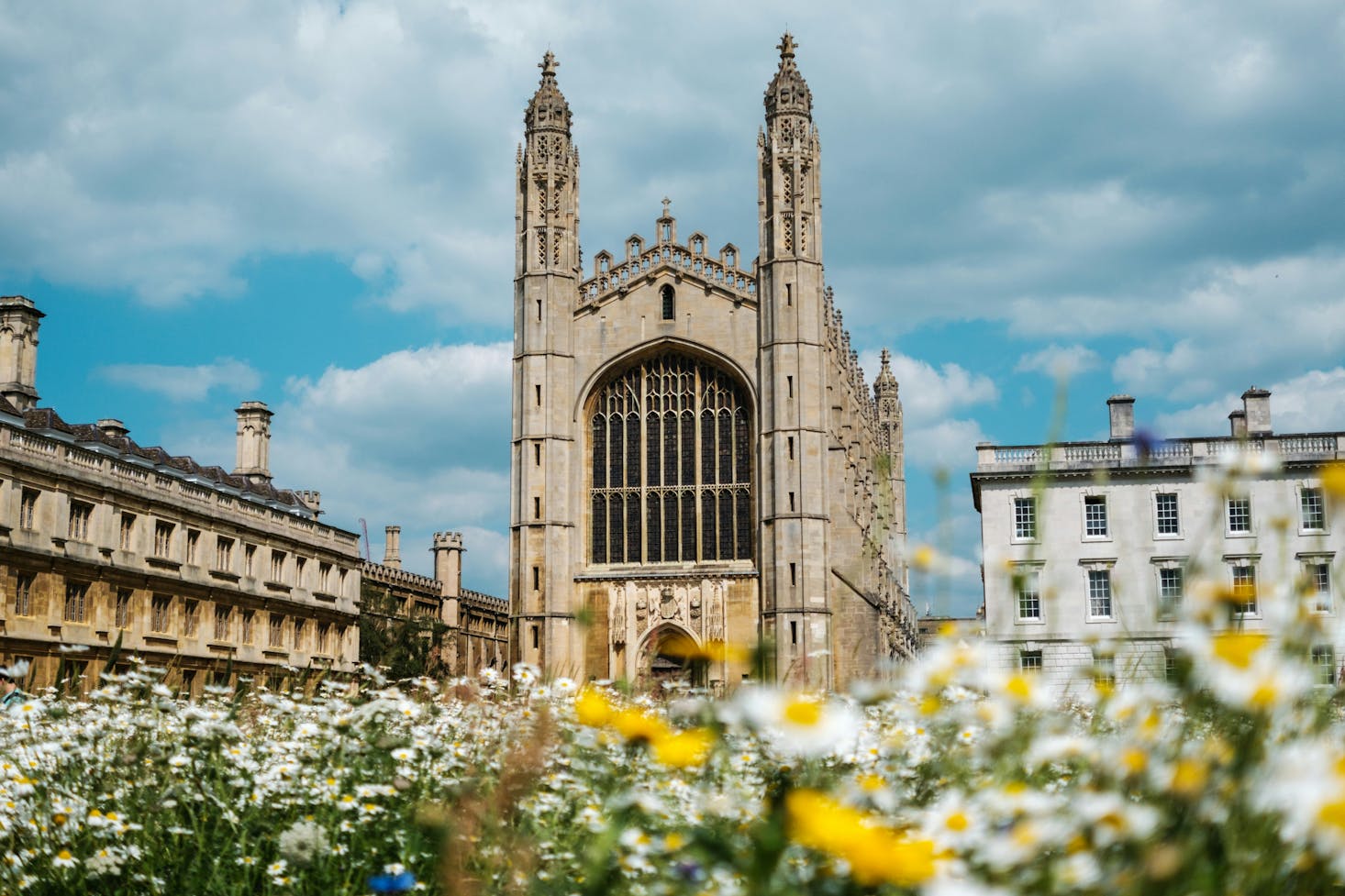 White and yellow flowers in front of King's College in Cambridge, UK