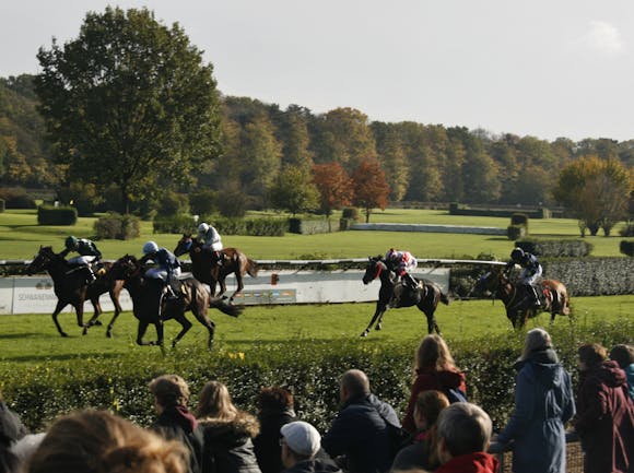 Jockeys and horses compete fiercely on a lush green track, cheered on by an enthusiastic crowd