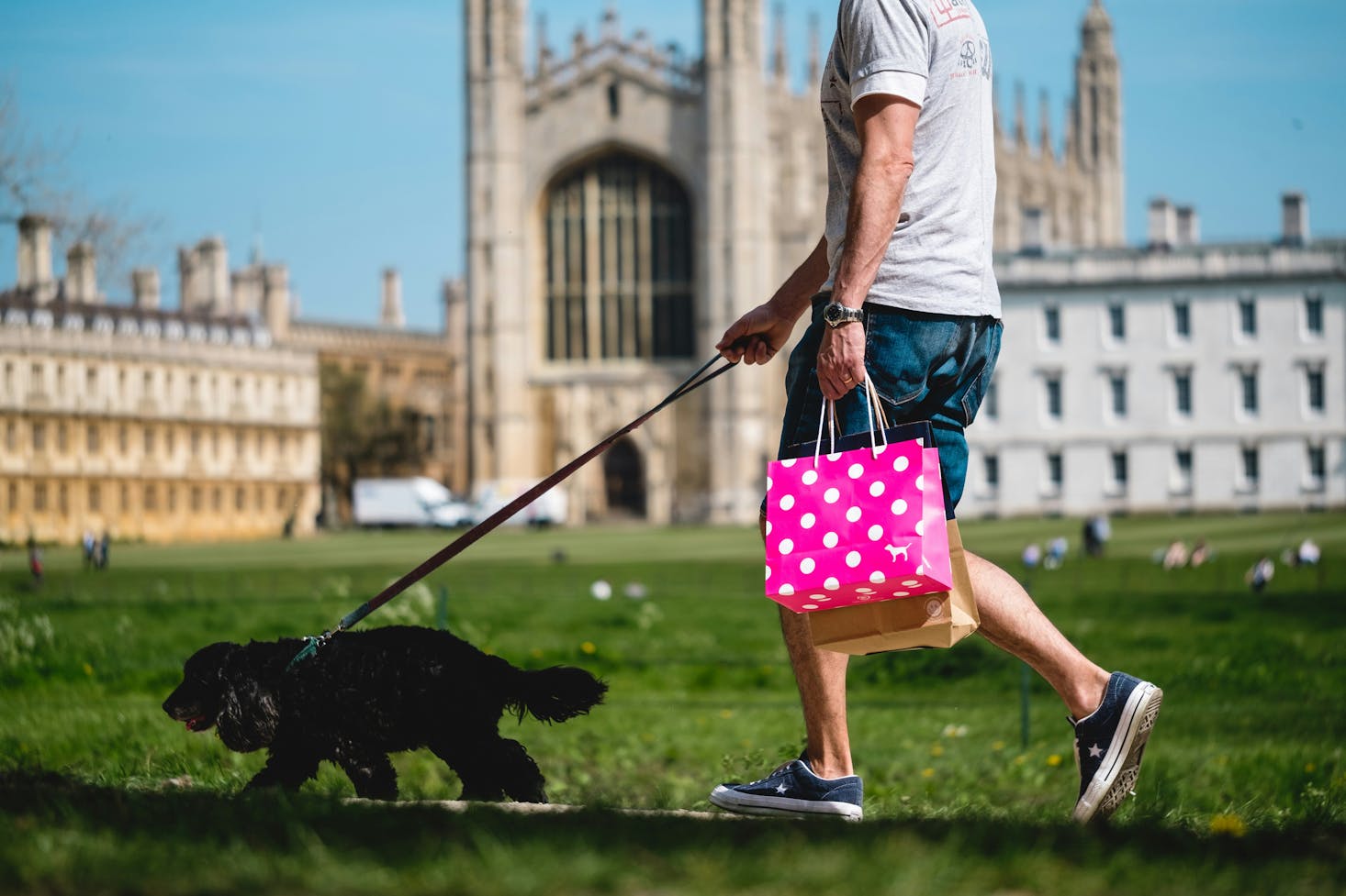 A dog walker carrying a pink polka dot shopping bag at Cambridge's Kings College