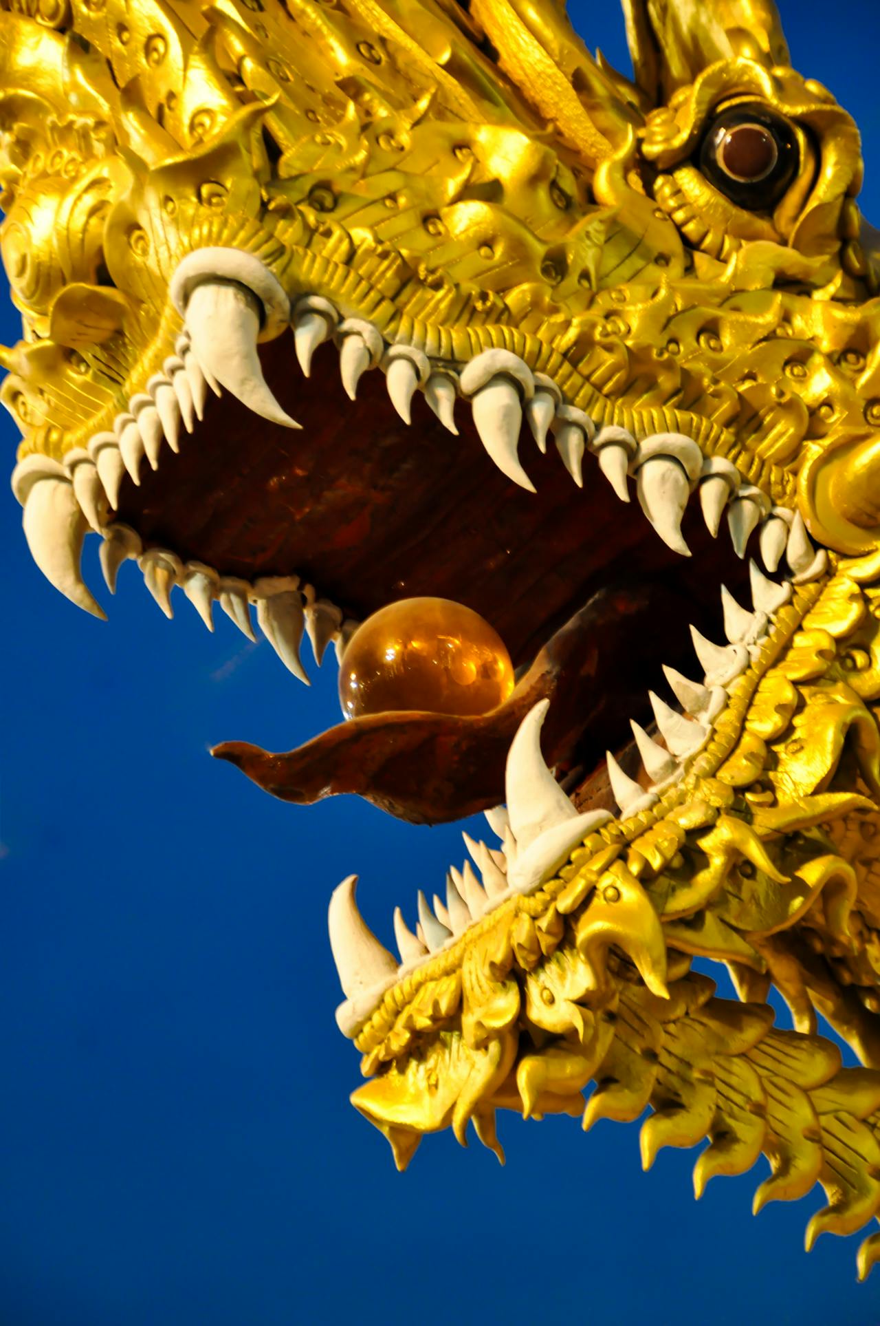 A stunning close-up of a golden dragon's head with intricate details and an orange orb in its mouth