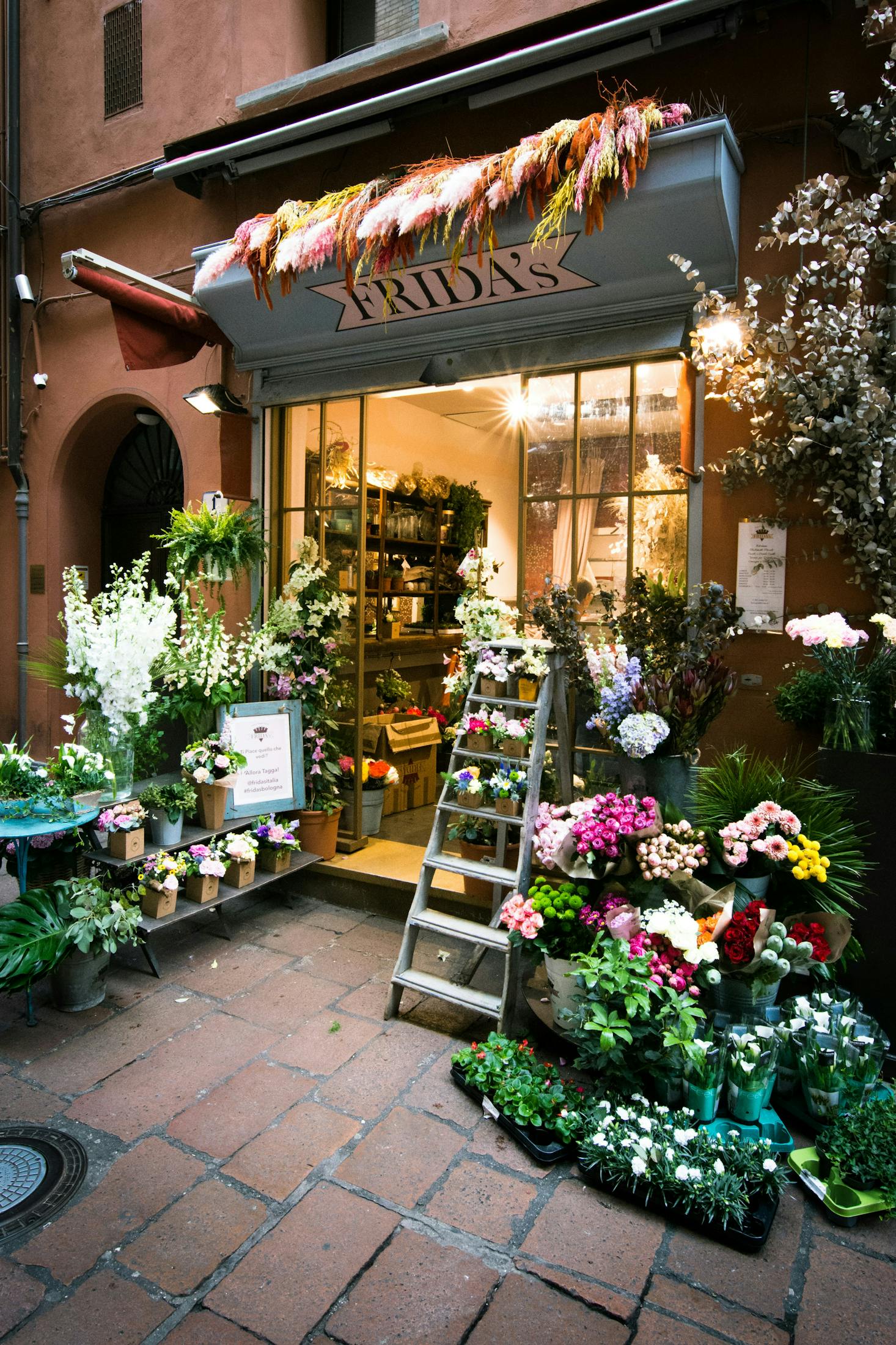 A colorful plant shop in Bologna at dusk