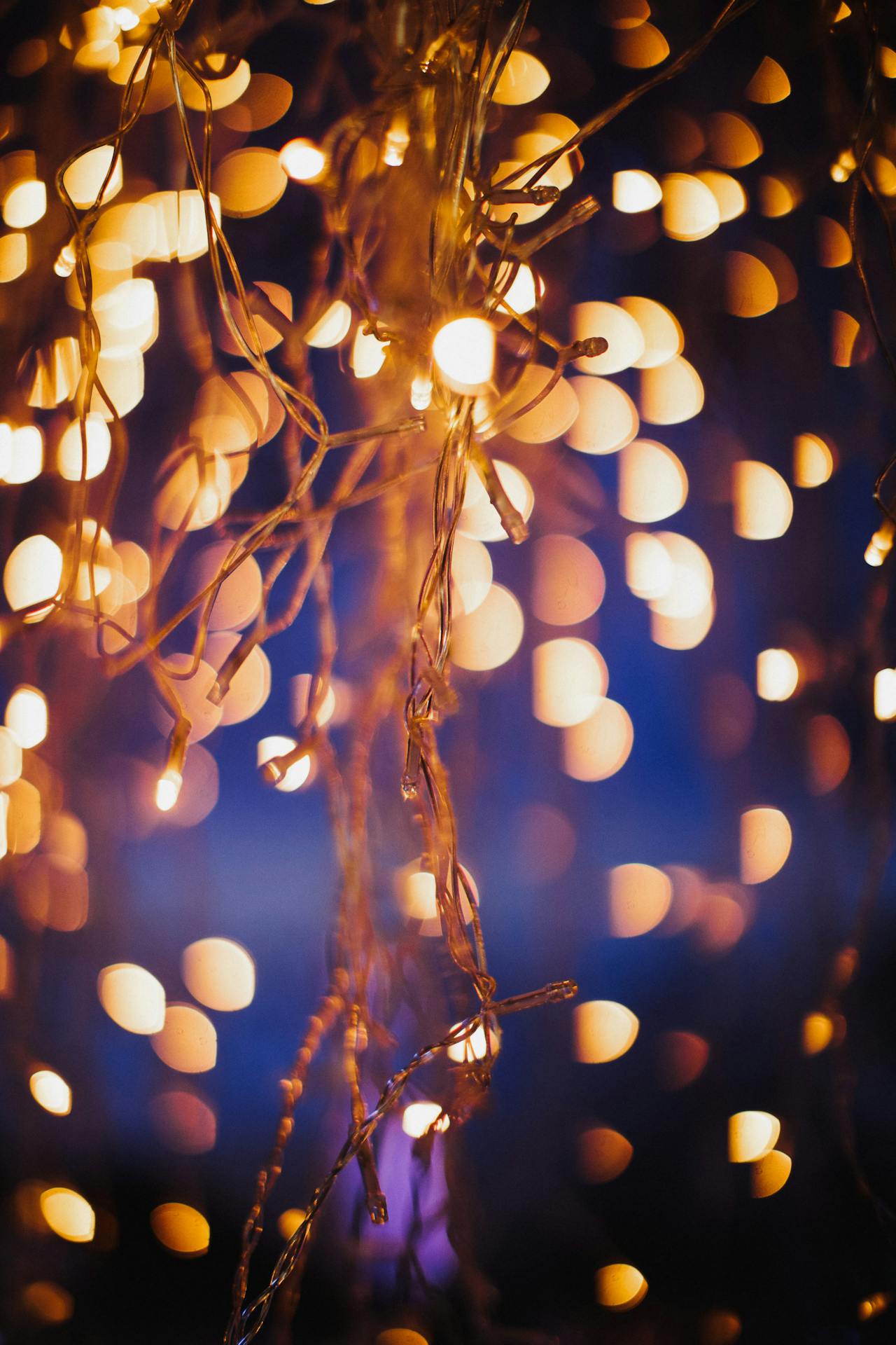 A mesmerizing display of warm, glowing string lights set against a cool blue background