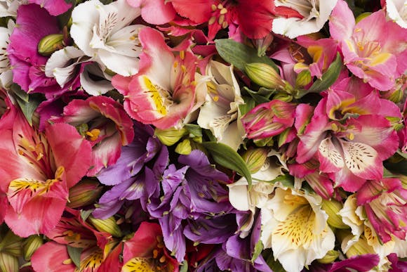 Gorgeous flower arrangement at the EuroFlora