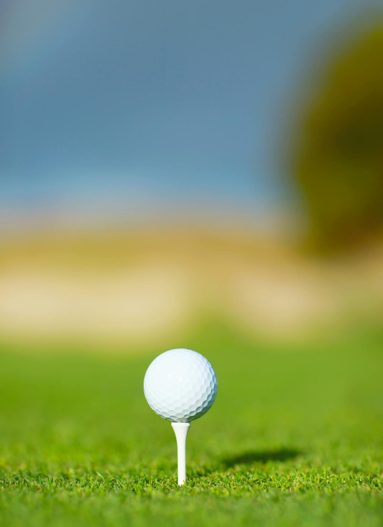 A golf ball on a lush green golf field at the PGA Championship