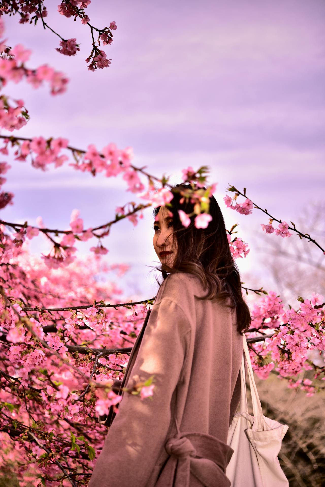 Woman wearing a coat next to a cherry tree during peak bloom