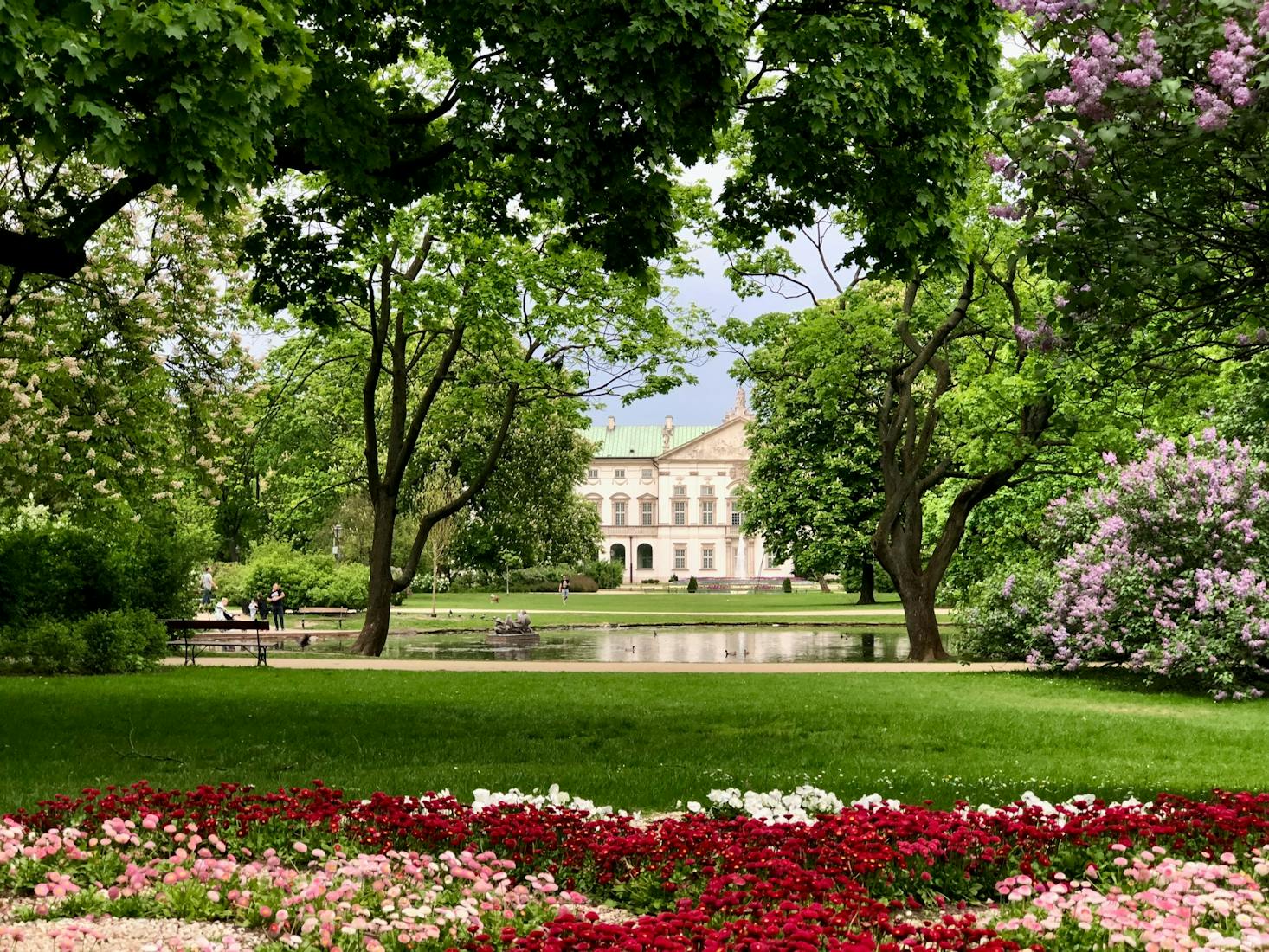 A Warsaw park with a pond and colorful roses in the foreground