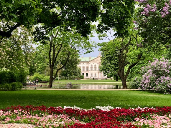 A Warsaw park with a pond and colorful roses in the foreground