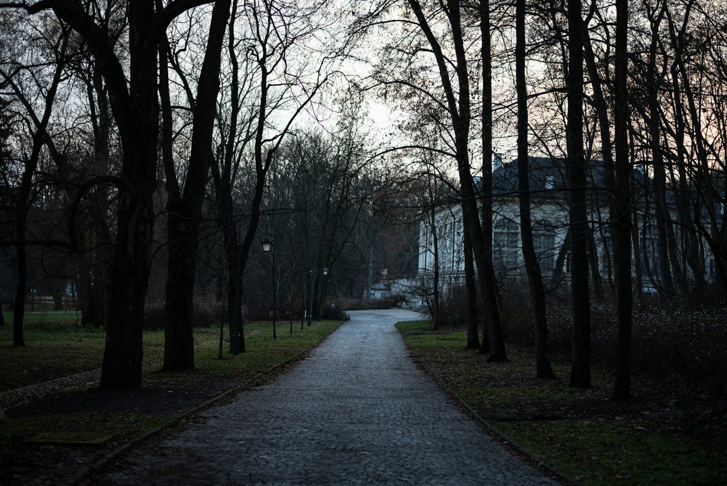 Late afternoon in a park with bare trees and a white building in the background