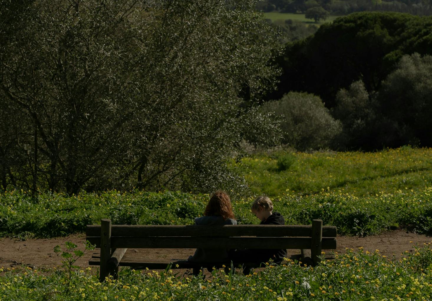 Two people on a park bench in a park with fields and flowers