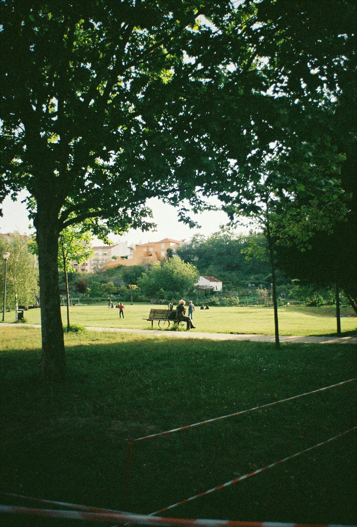 Looking through a shaded canopy of trees toward a person on a park bench
