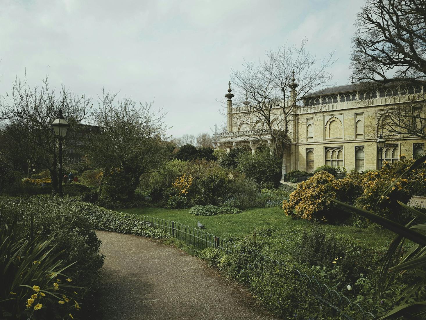 A walking path beside large shrubs and a large stately building
