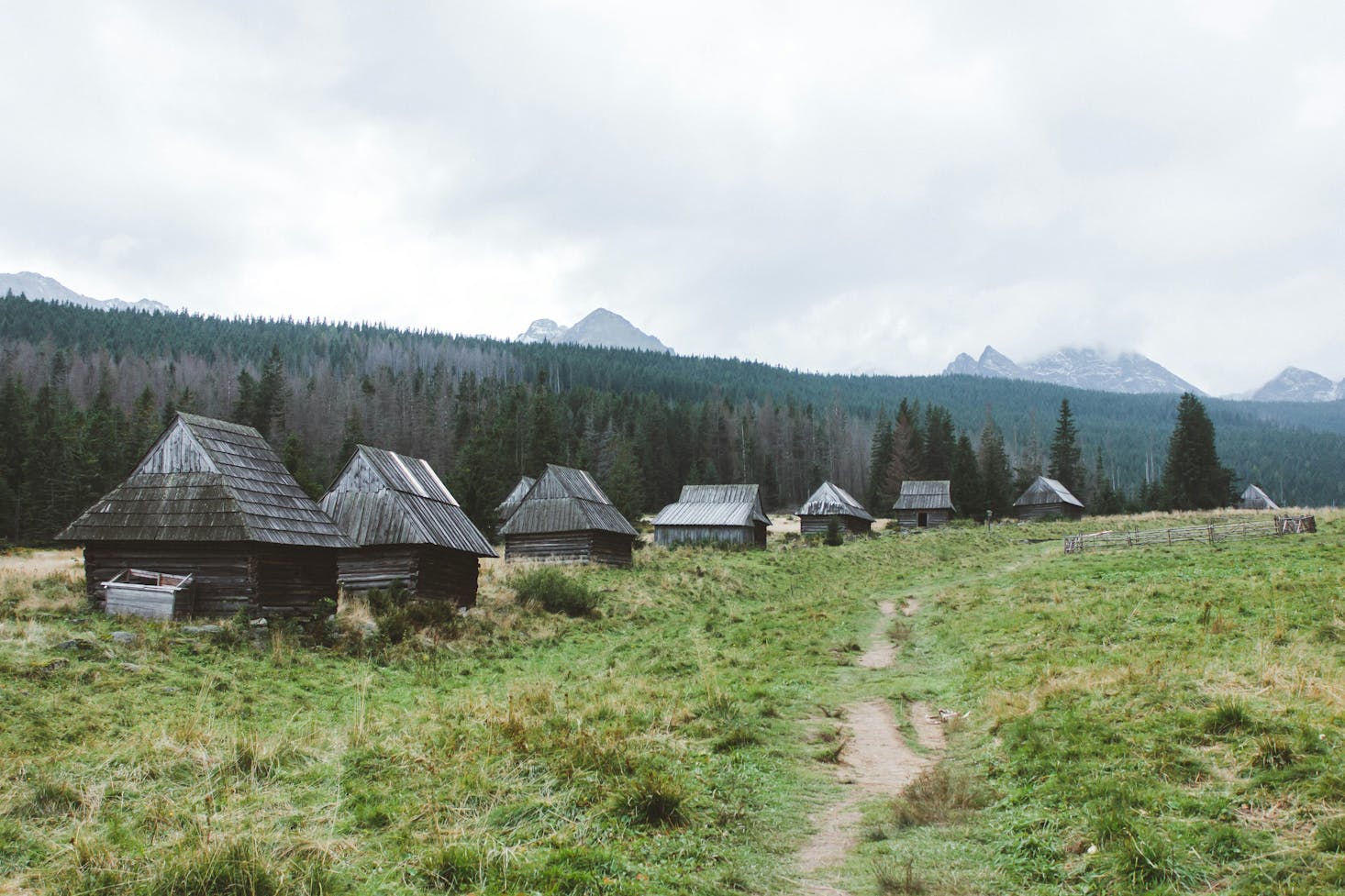 Several grey huts in a field with trees and mountains in the background