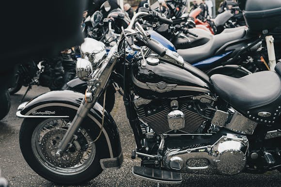 Sleek black Harley Davidson bikes lined up in a row at Leesburg Bikefest