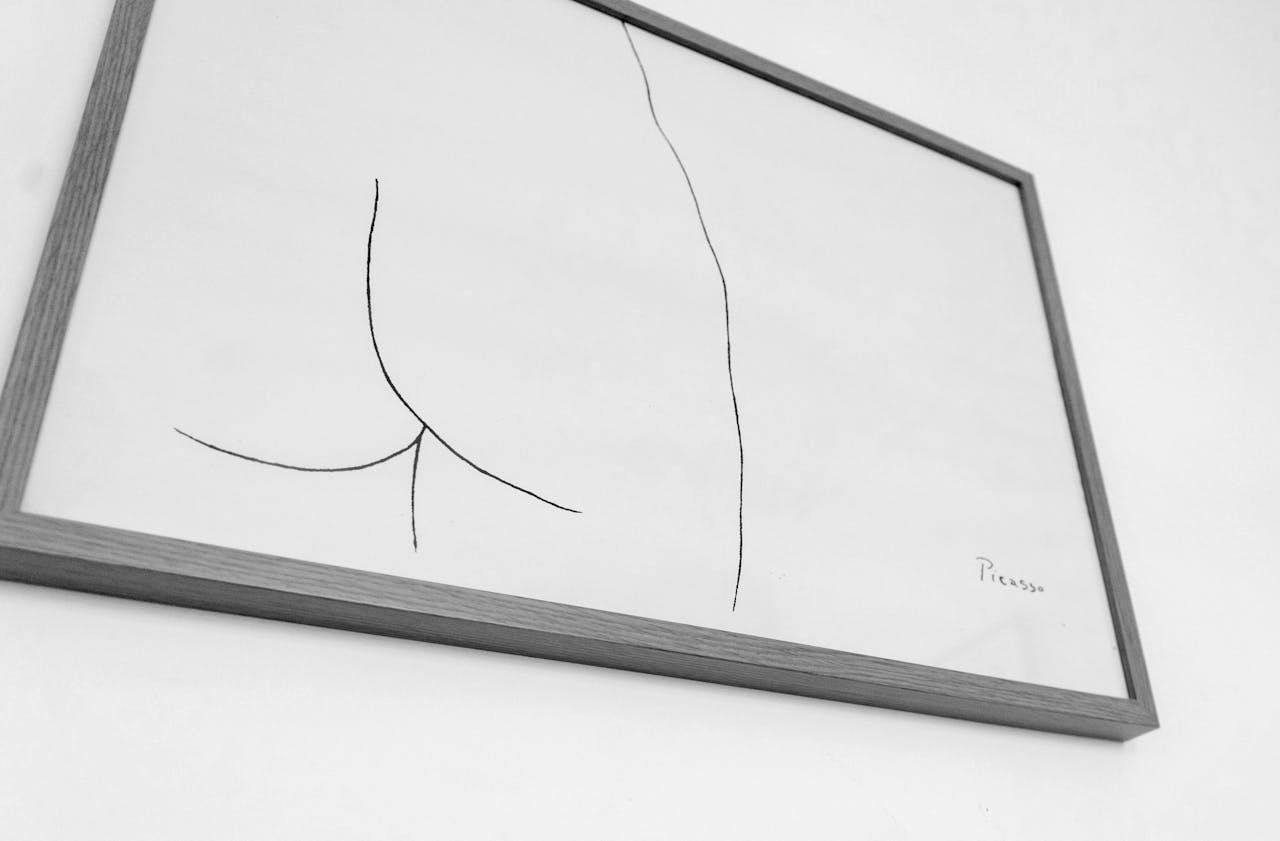 Example of Picasso's work - lines on a white canvas