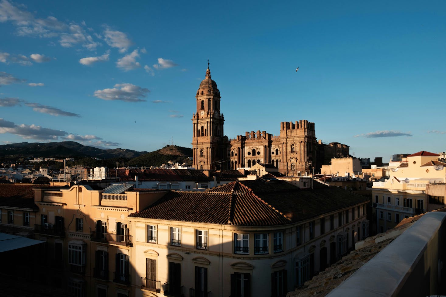 Malaga's cathedral towering over the city on a sunny day