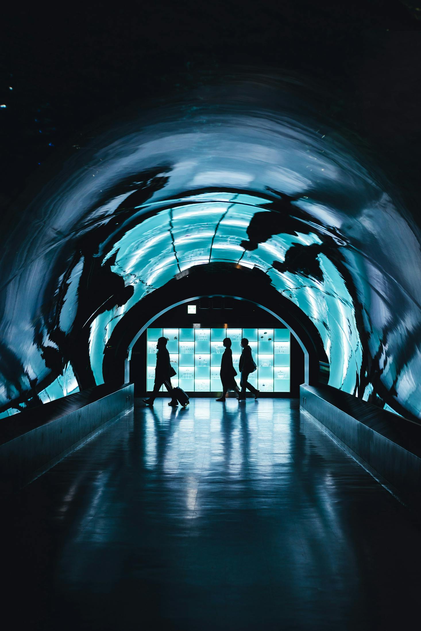 Tunnel in Shinagawa Station