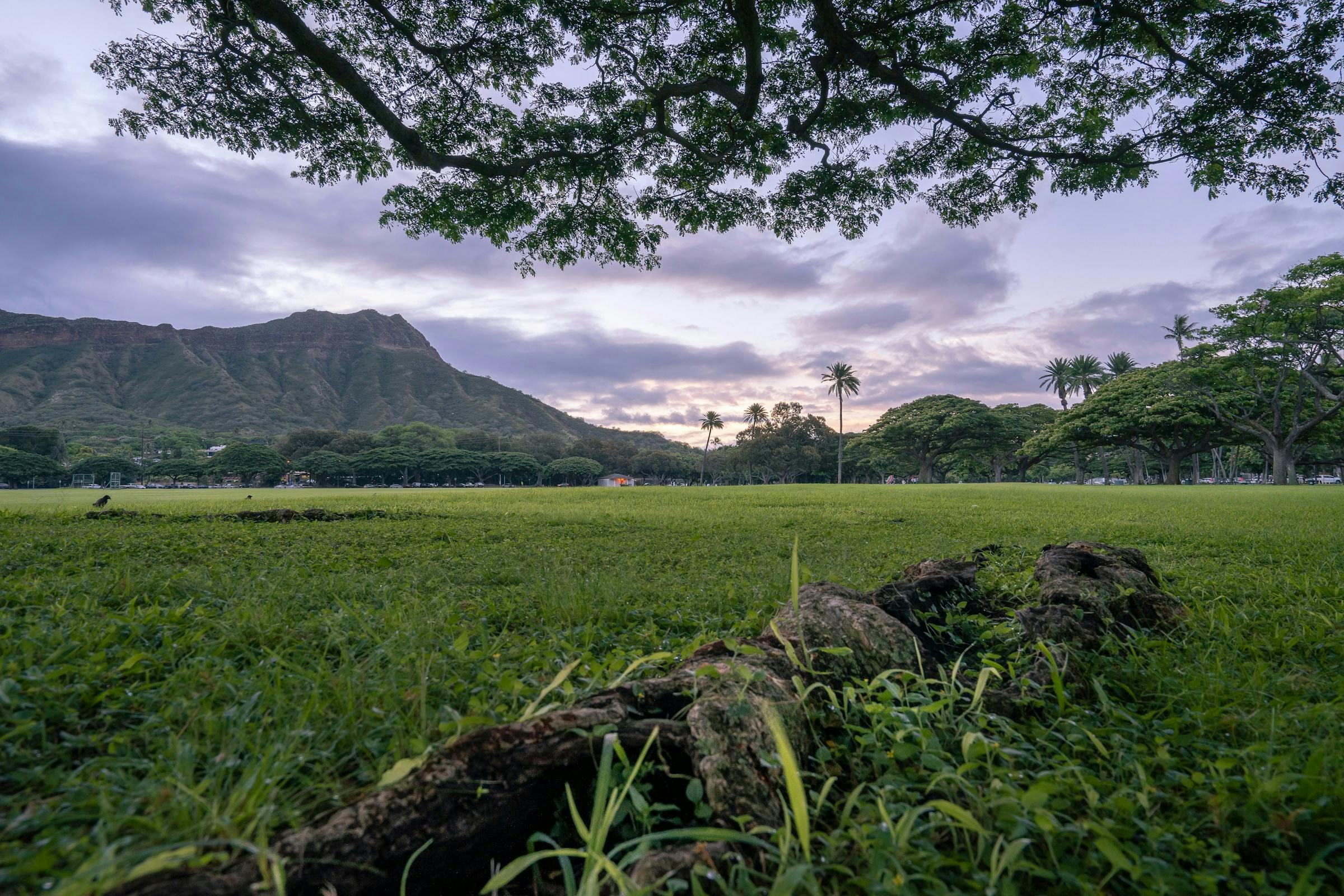 8 must see parks in Honolulu - Bounce