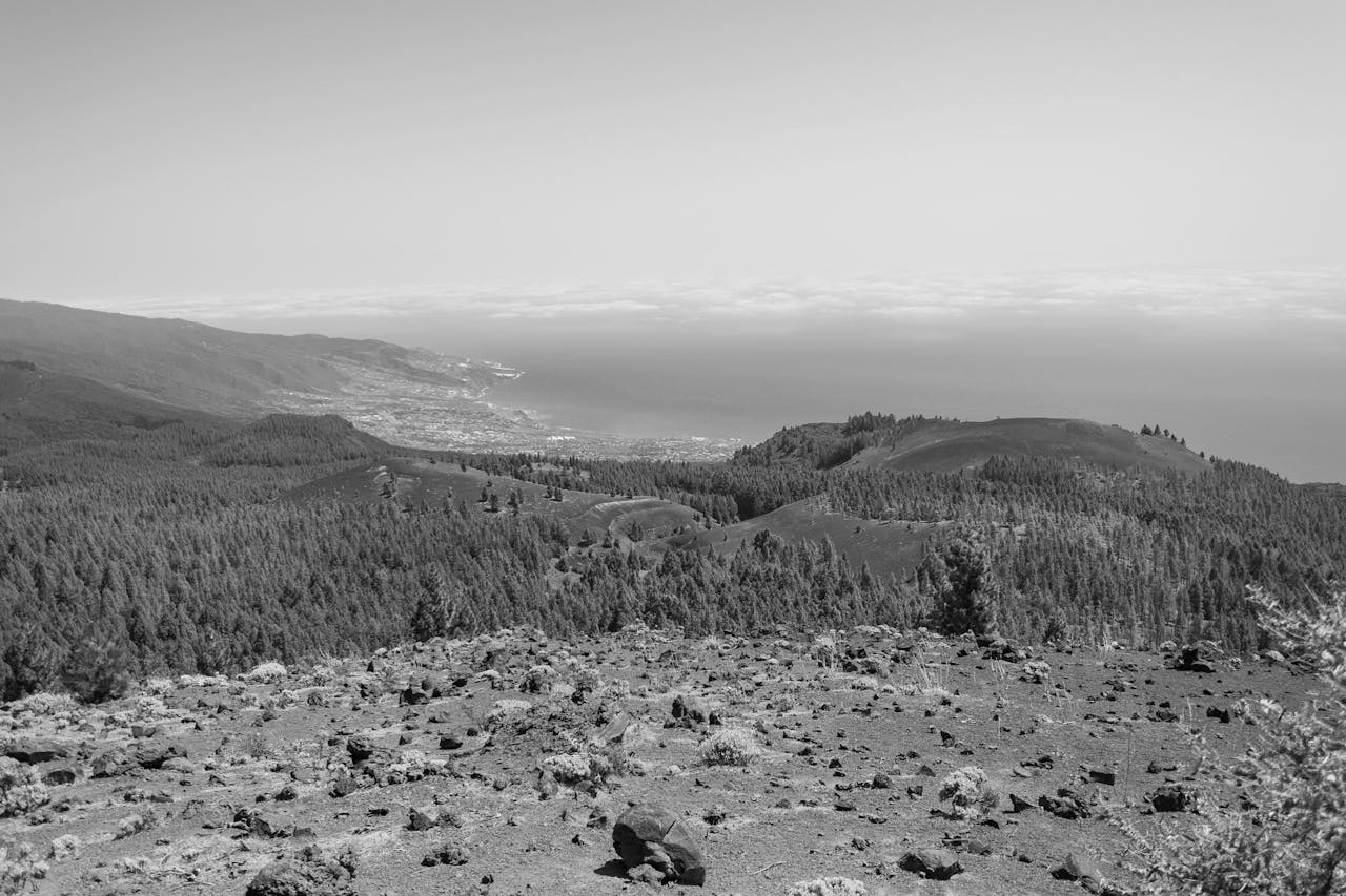 Imagen desde lo alto de la Palma, isla donde encontraras consignas de Bounce