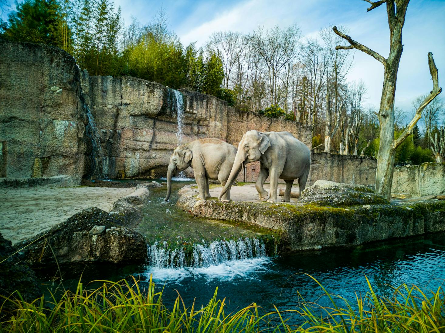 Gepäckaufbewahrung und Schließfächer am Zoo in Zürich.