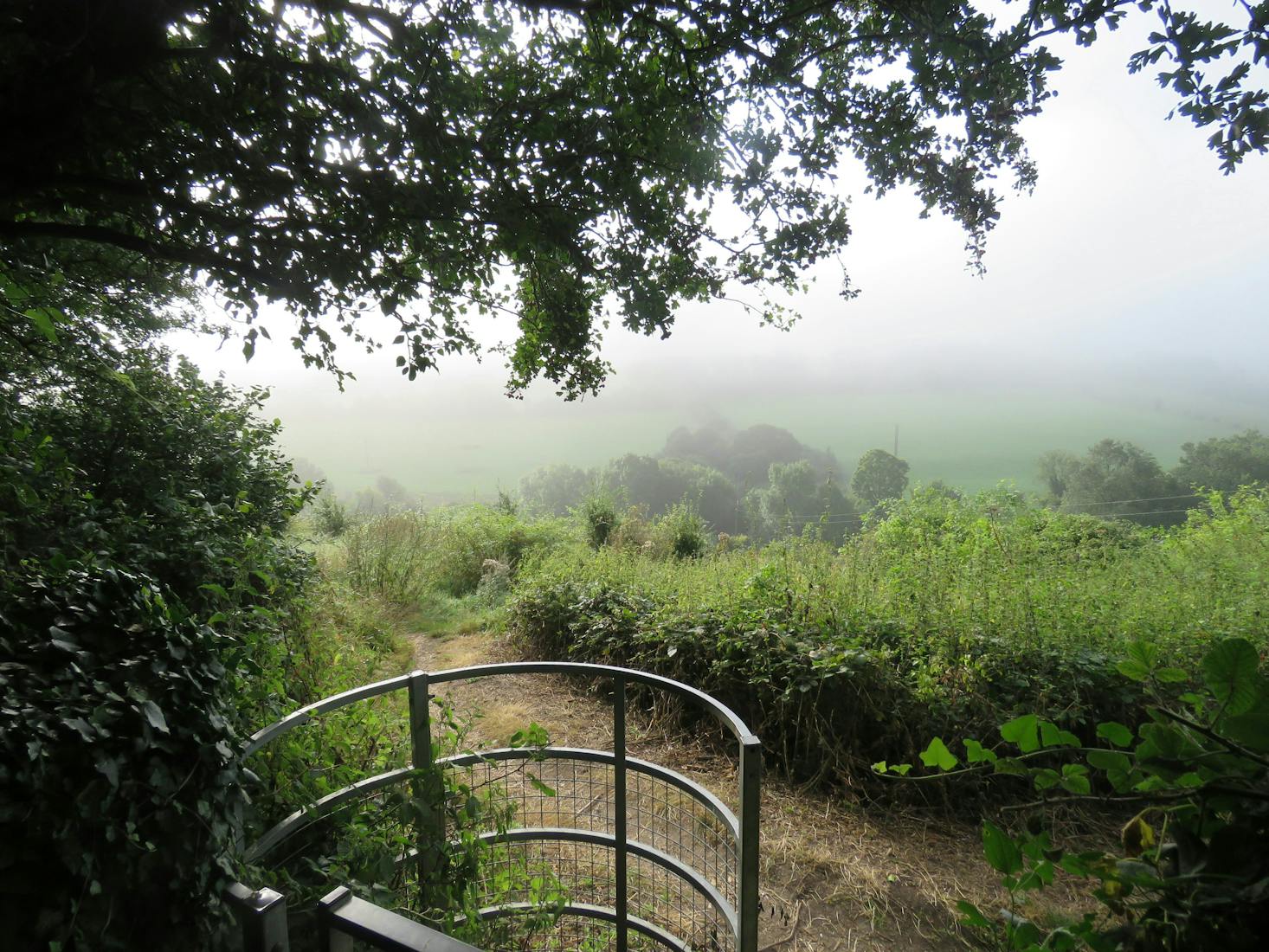 Nature reserve in Sittingbourne, UK