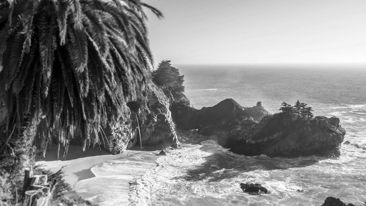 Imagen de una playa salvaje en Playa del Carmen, donde encontrarás consignas de Bounce cerca