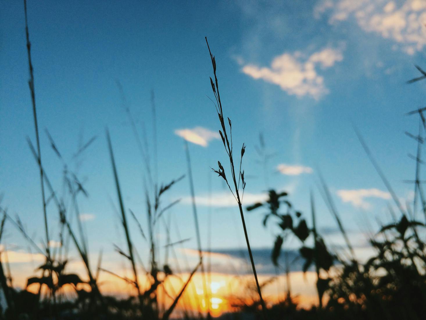 Blue skies in Minglanilla, Philippines