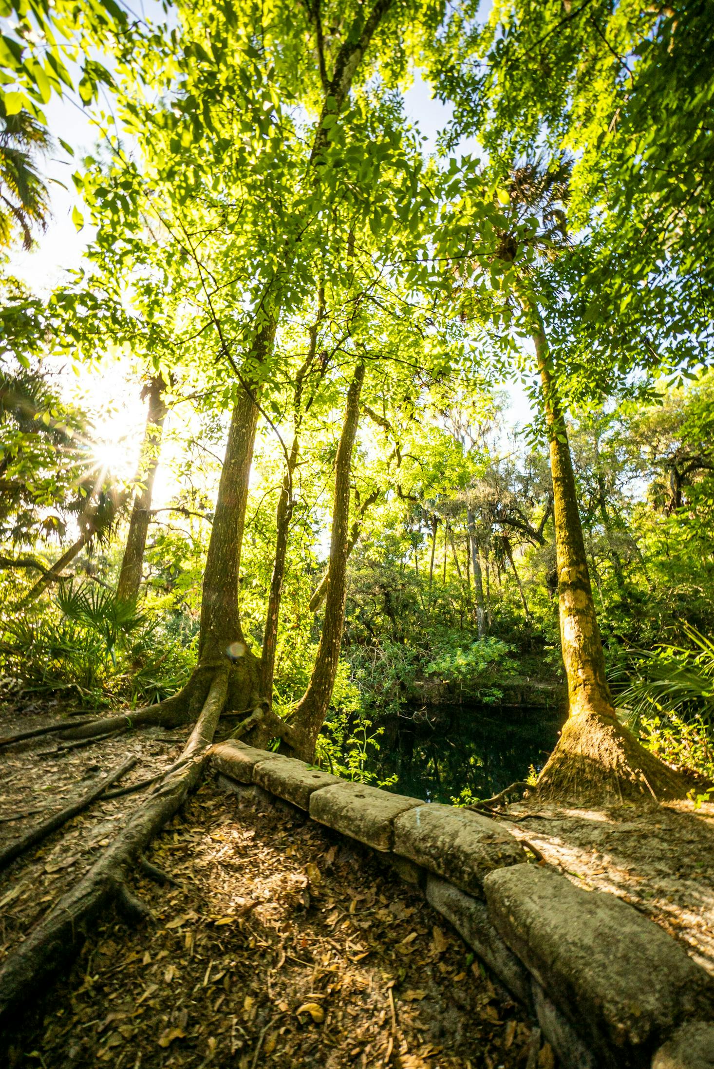 Hillsborough River State Park in Thonotosassa, Florida