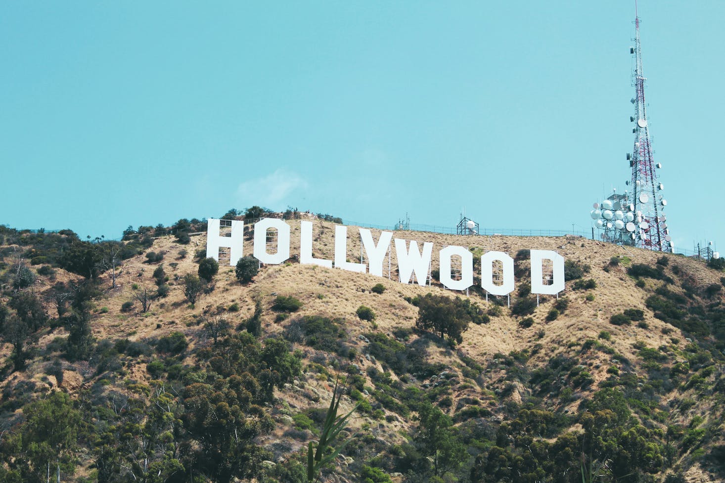 The Legendary Hollywood Sign Standing Tall